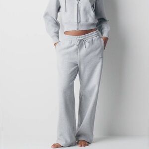 Aritzia Gray Wide Leg Pants